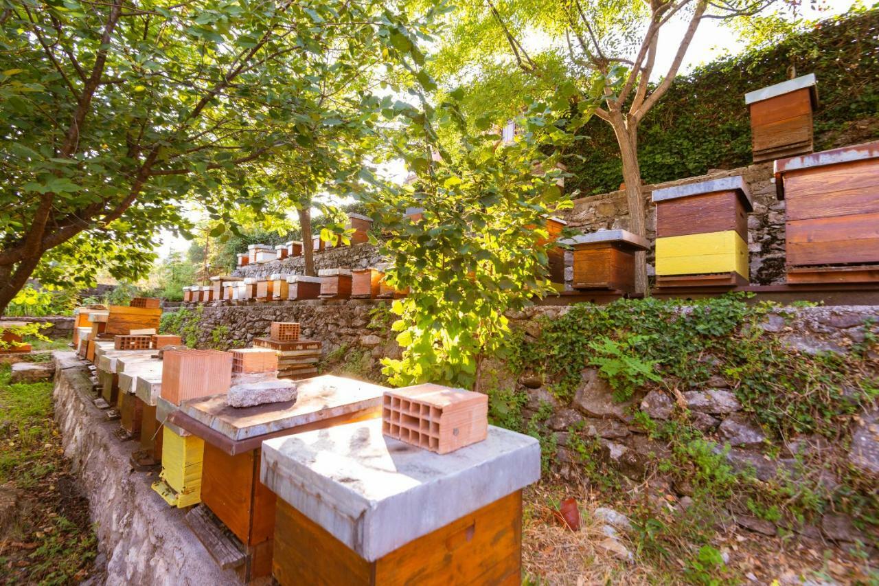 Honey Farm House Virpazar Dış mekan fotoğraf