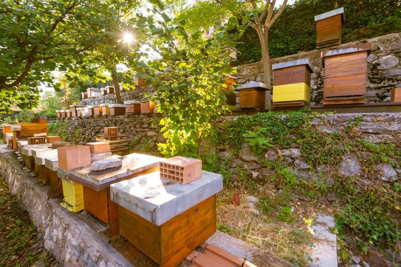 Honey Farm House Virpazar Dış mekan fotoğraf