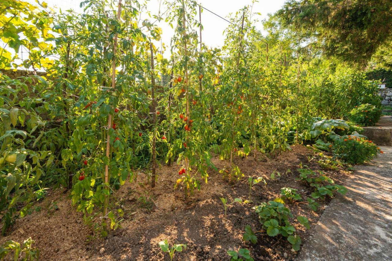 Honey Farm House Virpazar Dış mekan fotoğraf